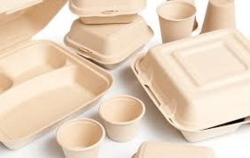 Liquidación de Stock de envases compostables para comidas delivery y take away. 