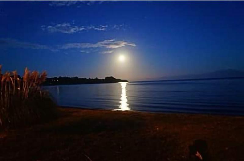 Lote inmobiliario de 625 hás en Chile Lote inmobiliario de 625 hás en Chile